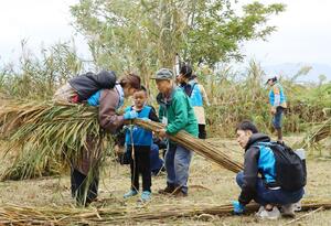 刈り取ったヨシを縄で結ぶ親子連れたち＝９日、新潟市北区
