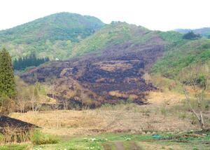 焼け跡が広がったスキー場跡地＝２７日、魚沼市赤土