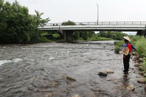 アユの友釣りが解禁された魚野川=1日、南魚沼市