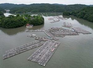 津波で流されたカキ養殖用のいかだ=31日、三重県鳥羽市(同市提供)