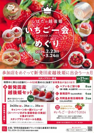 新発田市内でブランドイチゴ「越後姫」を使ったさまざまなメニューが楽しめるイベント「いちご一会めぐり」のチラシ