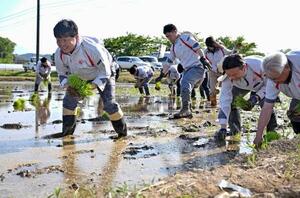 　田植えをするアイリスオーヤマの大山晃弘社長（左）とグループ会社の社員ら＝１２日午後、宮城県丸森町