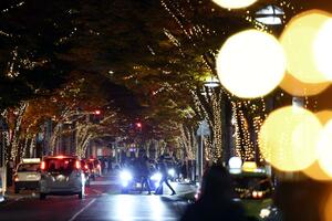 けやき通りを彩るイルミネーション=11月15日、新潟市中央区のけやき通り