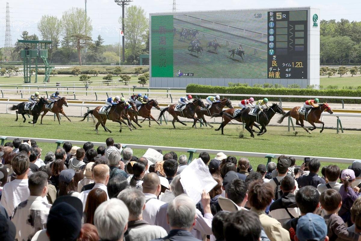 新潟競馬場が開設60年、節目の「春」開幕！来場1万7000人 俳優