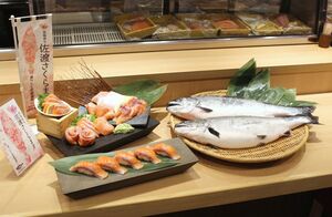 山津水産が販売を始めた「佐渡サクラマス」=4月18日、新潟市江南区