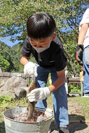 ニジマスを釣り上げる新井中央小の児童たち=妙高市杉野沢