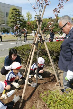 県庁敷地の有効活用として行った市町村の木の植樹＝１７日、県庁