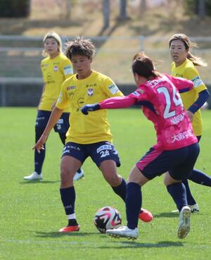 練習試合を戦う新潟Lの選手ら=大阪市(新潟L提供)