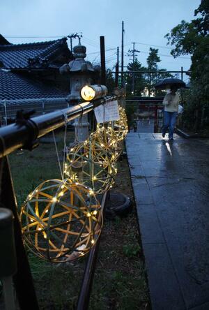 鳥屋野神社の参道に飾られた竹灯籠=新潟市中央区鳥屋野3
