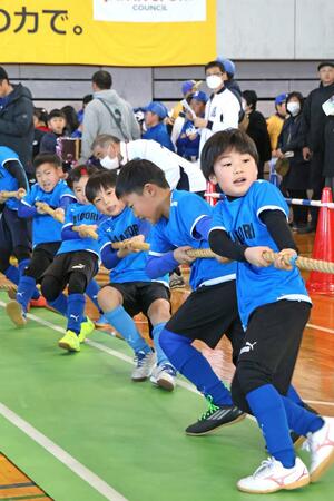 子どもから大人まで全力で綱を引き合った「しんきんカップ」=2月23日、新潟市中央区の鳥屋野総合体育館