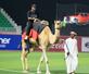 　ベースボール・ユナイテッドの試合でラクダに乗って登場する選手＝２０２５年１１月、ＵＡＥ・ドバイ郊外（ベースボール・ユナイテッド提供・共同）