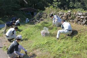 笹川集落にある水路跡周辺の草刈りをするボランティアや地元住民ら=佐渡市西三川