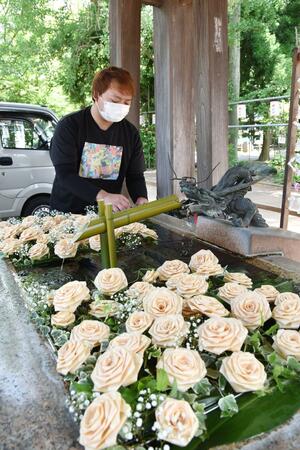 金峯神社の花ちょうず。ひのきろうずとカスミソウが手水舎を彩っている=長岡市西蔵王2