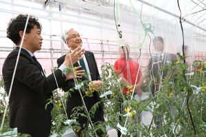 長岡市とINPEXが連携して運営する「スマート施設園芸試験棟」の見学会=長岡市栖吉町