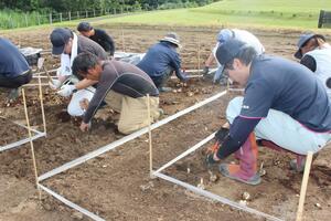 ユリの球根を植える参加者=魚沼市堀之内