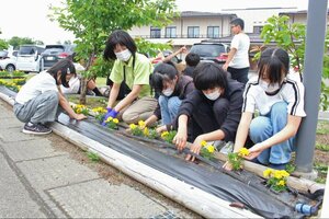 花壇に花を植える和島小の児童ら=長岡市小島谷