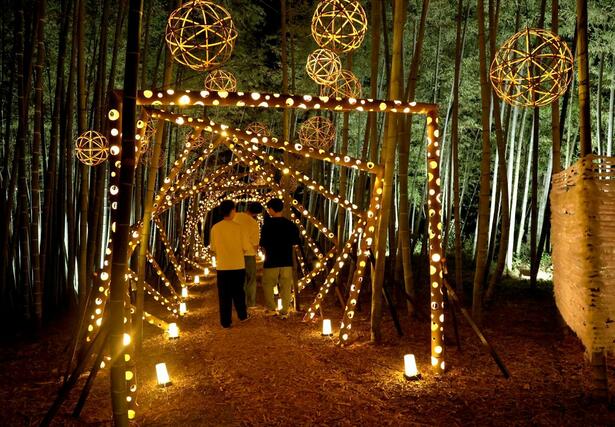 「竹あかり」のアートが町を彩る「たがみバンブーブー」のメイン会場＝９月１４日夜、田上町原ケ崎新田