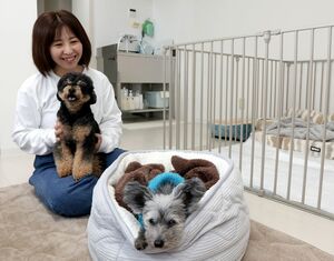 店内で愛犬と触れ合う春谷渚代表=上越市中央1