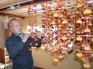 干し柿を手に取る斎木勇さん＝南魚沼市舞子