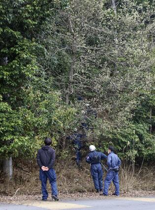 前日にスニーカーが発見された山中付近の捜索にあたる京都府警の捜査員＝１３日午前１１時２６分、京都府南丹市