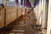 　泥でぬかるむイスラム寄宿学校の男子寮の廊下＝２３日、インドネシア・カランバル（共同）