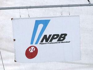 球場に掲げられている日本野球機構(NPB)の旗