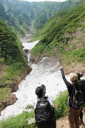 中荒沢沿いに積もった万年雪＝１９日、魚沼市宇津野