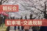 ［高田城址公園観桜会2026］いよいよ開幕！臨時駐車場、通行止め情報まとめ