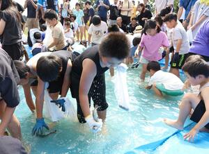 懸命にニジマスをつかみ取りする子どもたち=23日、上越市頸城区