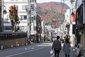 宿泊客がクマに襲われた旅館駐車場近くの温泉街＝８日、湯沢町湯沢