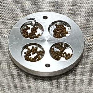 　実験装置に入れたコケ胞子の粒。１粒に約４千個の胞子が入っている（藤田知道教授ら提供）