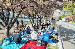 県人会メンバーが交流を楽しんだ花見の会=4月28日、米・ニューヨーク市