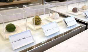 果物などを餅とあんこで包んだ「月岡餡」のあん菓子=新発田市月岡温泉