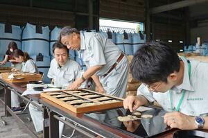 JAえちご中越が行った「葉月みのり」の初検査。全量が1等米となった=8月16日、柏崎市平井