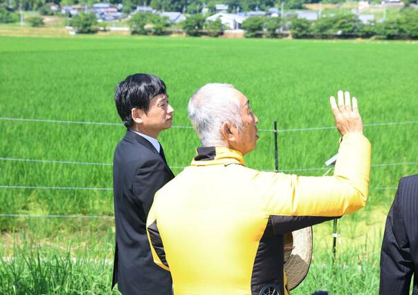 三田市の米農家を視察し、説明を受ける上越市の中川幹太市長（左）＝２９日、兵庫県三田市