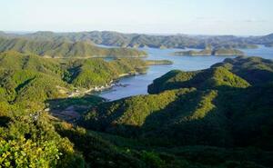 展望台から見た長崎県対馬市の山々や湾=5日