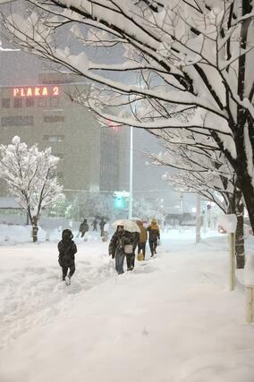 「顕著な大雪に関する気象情報」が発表された新潟市=2月7日午後9時半ごろ、新潟駅南口