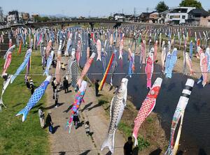 青空の下を泳ぐ約５００匹のこいのぼり＝加茂市の加茂川河川敷
