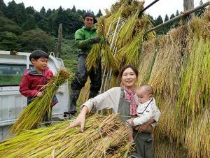 次男の楽を抱きかかえ、刈り取った稲を稲架に掛ける諸岡江美子。夫の龍也、長男の遊の家族4人で作業した=2025年10月、新潟県妙高市(撮影・林昌三)
