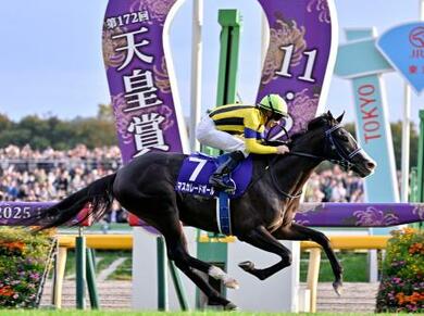 マスカレードボールが優勝 競馬の天皇賞・秋 | 新潟日報