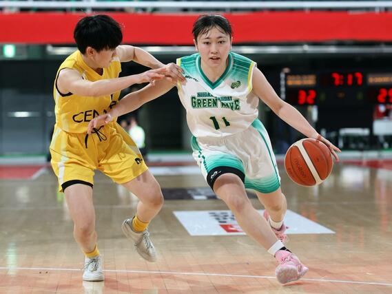女子２回戦　新潟産大付－矢板中央（栃木）　第３クオーター、ドライブを仕掛ける新潟産大付の木澤真穂＝東京体育館