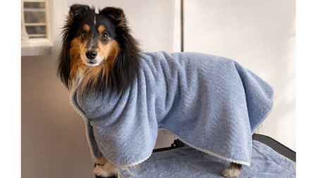 愛犬の「おうちシャンプー」を、もっとラクにする日繊商工の吸水タオル