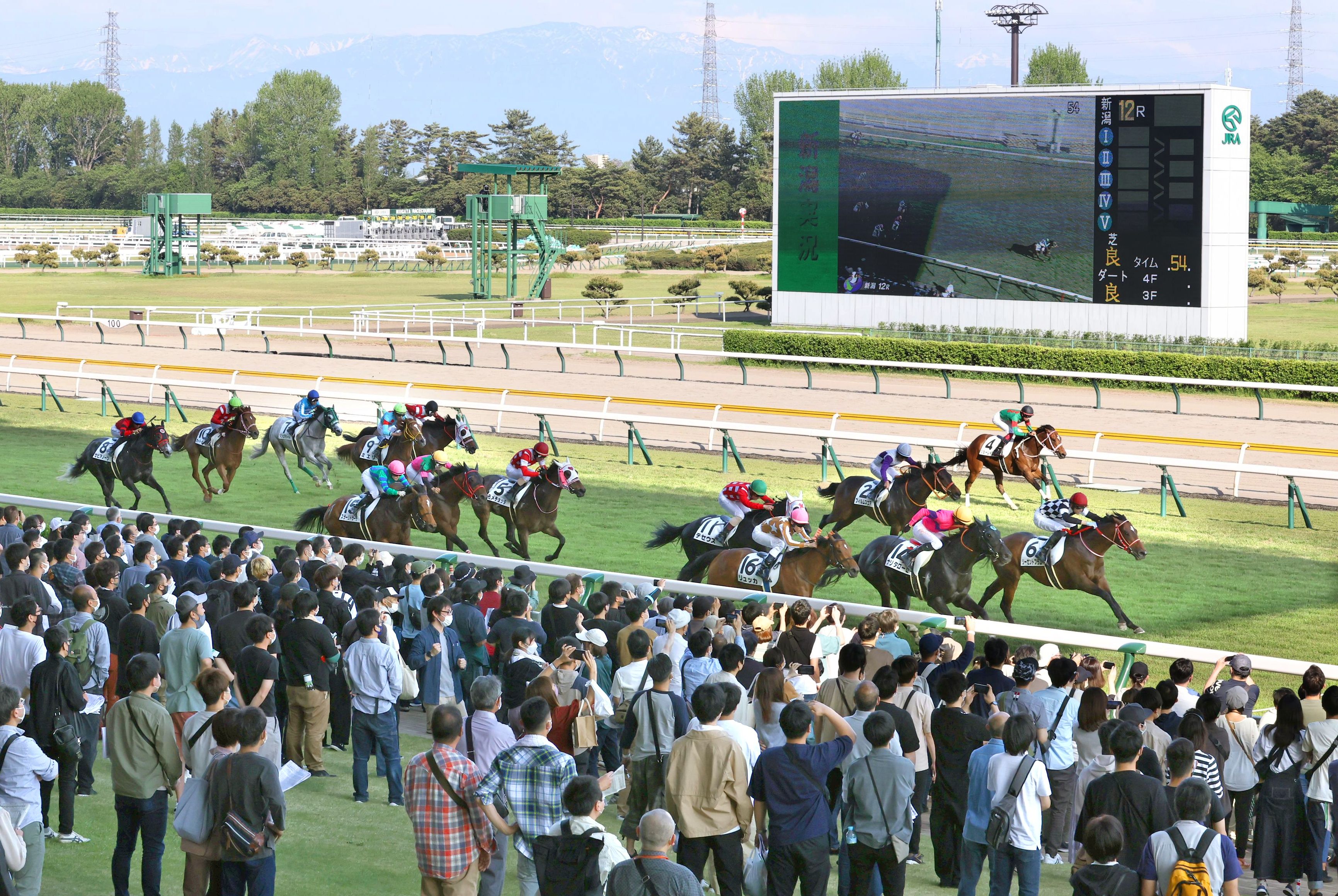 お待たせ 春競馬が開幕 当日券も販売 ｊｒａ新潟開催 新潟日報デジタルプラス