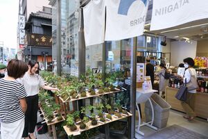 「ブリッジにいがた」のアンテナショップ=2023年9月、東京都