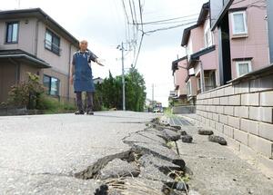 基準地価が大幅に下落した地域を歩く善久連合自治会総代の阿部剛さん。「液状化対策が進まなければ、家を求める人はいないだろう」と嘆く=9月17日、新潟市西区