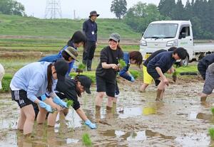 米飯パック製造の「たかの」が学生と共に行った田植え作業=18日、小千谷市池ケ原