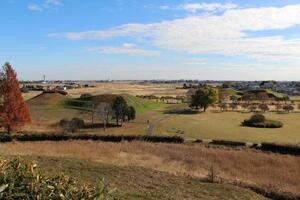 　前方後円墳などが集まる埼玉古墳群＝埼玉県行田市