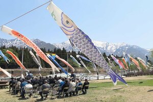滝谷農村公園に掲げられているこいのぼり=南魚沼市滝谷
