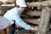 原木シイタケの収穫を体験する神納小の３年生＝村上市里本庄