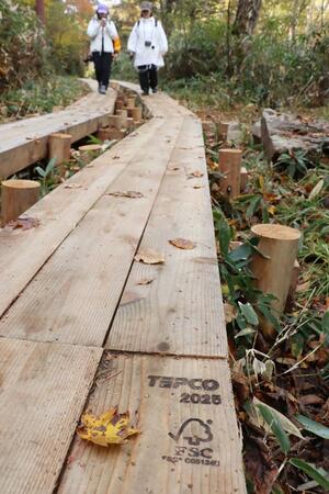 東電による管理を示す「TEPCO」マークのある木道=2025年10月中旬、尾瀬国立公園